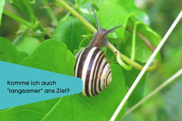 Komme ich auch "langsamer" ans Ziel?